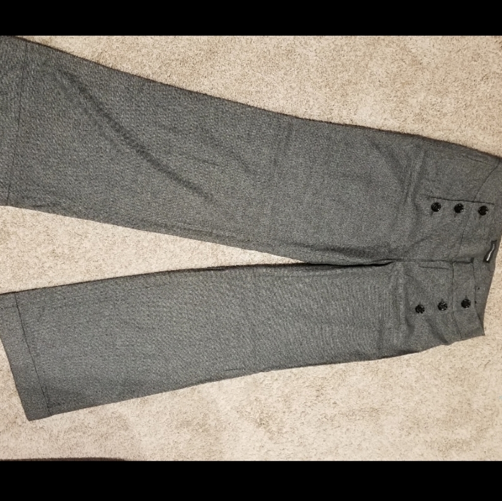 Express Wide Leg Dress Pants